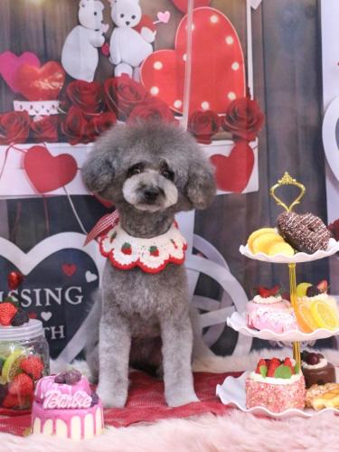 20250212るいくん